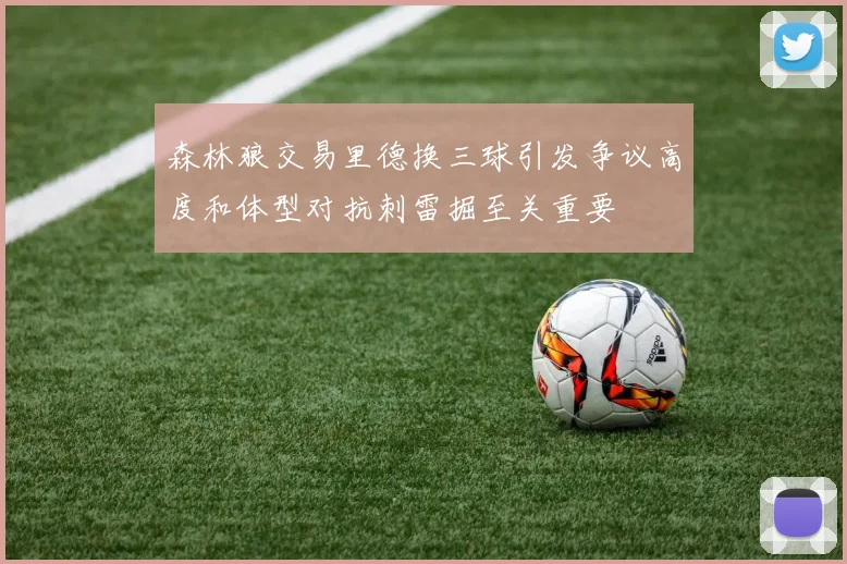 森林狼交易里德换三球引发争议高度和体型对抗刺雷掘至关重要